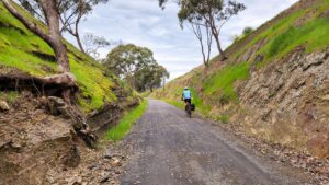 Imagine cutting this by hand, dozens of times between Trawool and Homewood [2022]