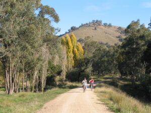 Cruising down from the tunnel to Molesworth (2012)