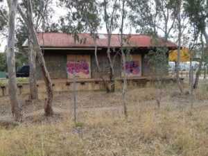 'How's the Serenity' at the Bonnie Doon good shed. Perhaps too much of it [2021]