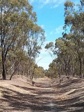 Construction Starts on Murchison Rail Trail (Northern Victoria)