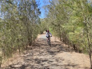 Riding between Stanhope and Girgarre ducking the regrowth [2021]