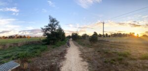 The Landcare plantings are really starting to take over [2025]