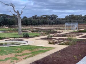 The beginnings of the native botanic garden at Girgarre [2023]
