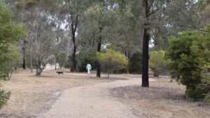 The trail ends with a loop path in Progress Park [Sandra McDonald 2017]