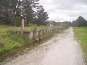 The Linton platform formation [2007]
