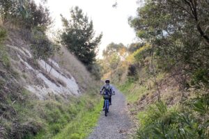 The cutting has been partly filled in to reduce drainage problems [2024]