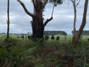 Local residents take a keen interest in the rail trail's many users [2023]