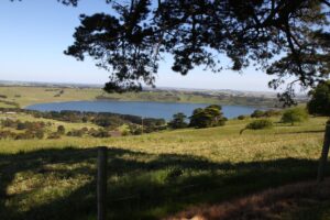 The recommended route from Camperdown has views but is hilly [2010]