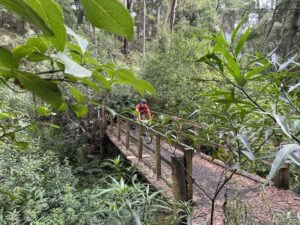 Crossing low-level Bridge 14, which has been replaced [2024]
