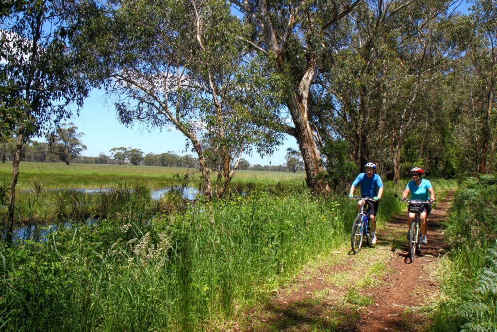 Camperdown-Timboon Rail Trail