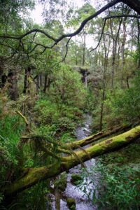 Bridge crossing difficulties are outweighed by the scenery [Alex Thompson, 2013]