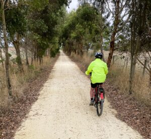 Revegetation of the corridor between Koroit and Moyne [P Hobday 2024]