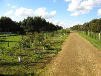 Port Fairy to Koroit (Vic) Now Open