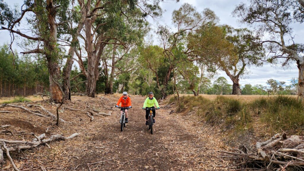 Hamilton-Coleraine Rail Trail