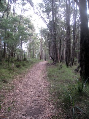 Daylesford to Woodend Trail is another step closer (VIC)