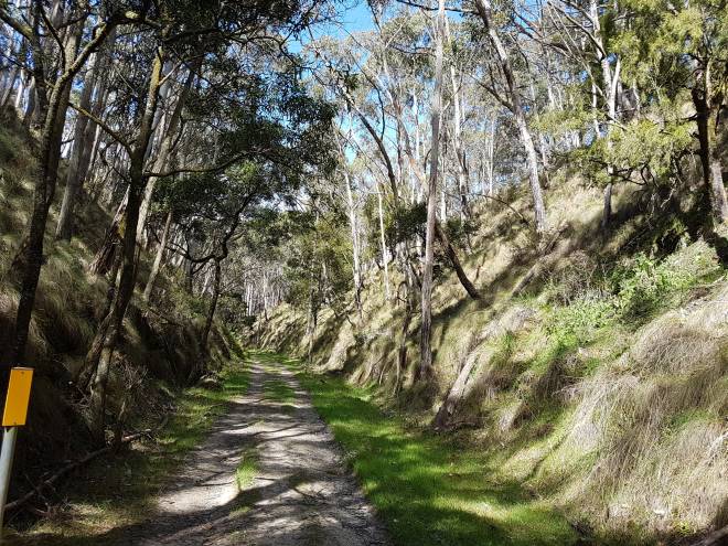Central Goldfields Shire Council’s new Integrated Transport Strategy to include improving existing walking and cycling trails such as the Goldfields Track