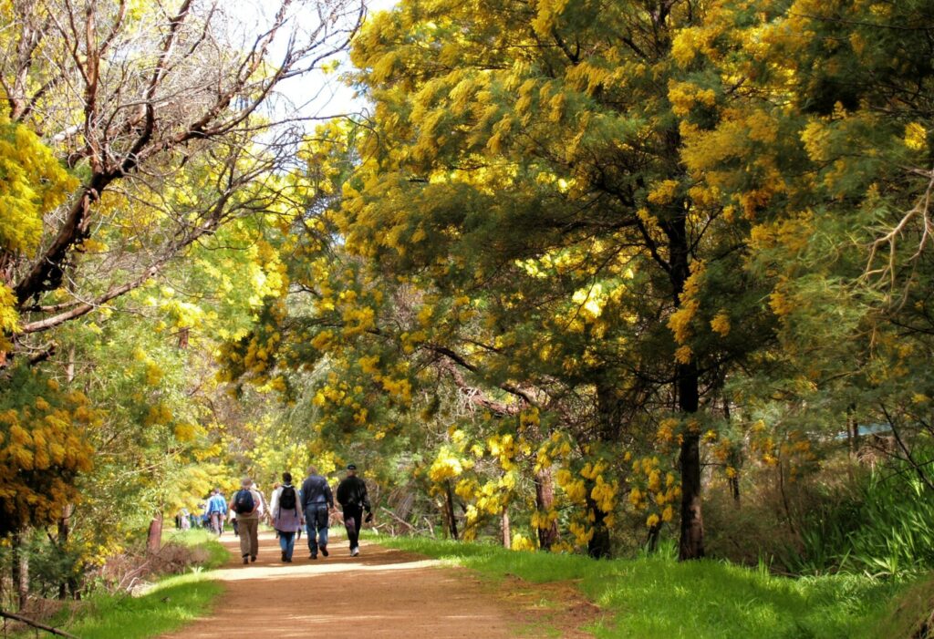 Railway Reserves Heritage Trail