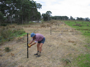 Denmark – Nornalup rail trail (WA) extensions opened