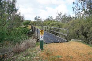 Bob's Crossing Bridge [2021]