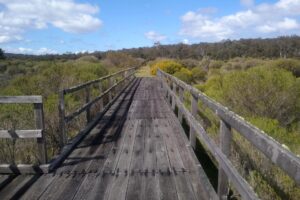 Cowcher bridge in 2020