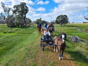 You can still come across horse power on the trail, though the genuine type! [2021]