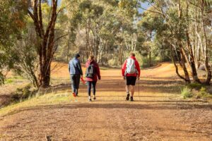 Gibbs siding [Caroline Telfer 2020]