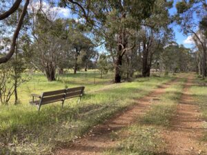One of many park benches along the trail [2021]