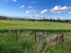 Good wheat cropping country around Darkan! [2021]