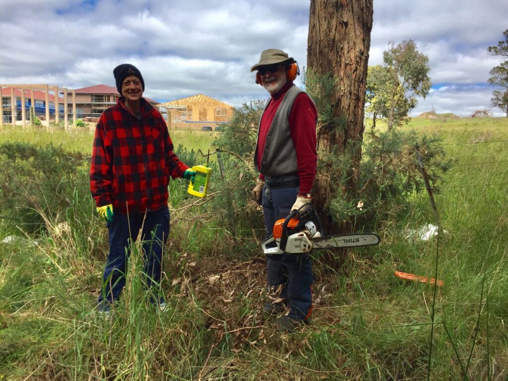 A Hidden Gem Exposed for Off-Road Trail