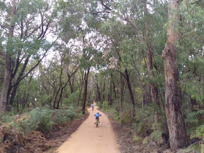 New section of Wadandi Track in Western Australia opened