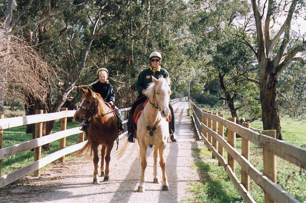 Warburton Horses Bridge-1
