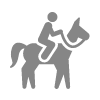 Horse Riding Horse Riding